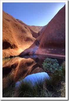 One of the permanent waterholes on the southern side of Uluru